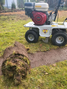 2f7f2d31-3bac-4842-8dfe-8c23f7756422